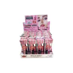 LIPLINER + LIPGLOSS 2 EN 1 BRILLANT(0,95€ UNITÉ) PACK 24 MAGNET OF NOBLE