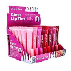 TEINT À LÈVRES GLOSS (0,69€ UNITÉ) PACK 48 D'DONNA