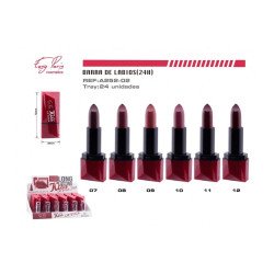 ROUGE À LÈVRES KISS IMPERMÉABLE 24H. (0,85 € UNITÉ) PACK 24 EASY PARIS