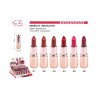 LIPSTICK LONG LASTING 24H. (€0.73 UNIT) PACK 24 EASY PARIS