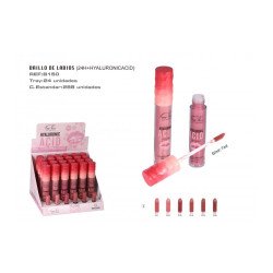 LIPGLOSS MATTE HYALURONIC ACID 24h. (€0.89 UNIT) PACK 24 EASY PARIS