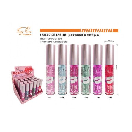 LIPGLOSS BIG & FULL (0.85€ UNIDAD) PACK 24 EASY PARIS