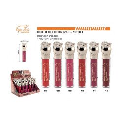 LIPGLOSS MATTE SUAVE IMPERMEÁVEL 24H. (€0,79 UNIDADE) PACK 24 EASY PARIS