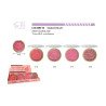 BLUSH PROFESSIONNEL (0,85€ UNITÉ) PACK 24 EASY PARIS