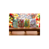 BÁLSAMO LIP FANTASIA NATAL 3,5GR. (€0,99 UNIDADE) PACK 12 SENÇAS