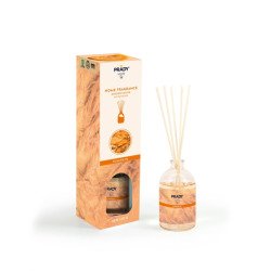 DÉSODORISANT D'AIR MIKADO CITROUILLE 100ML. (1,60€ UNITÉ) PRADY PAR 12