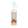 DATA SPRAY Ambientador 220ML. PRADY