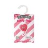 AMBIENTADOR DE ARMARIO PIRULETA DE CORAZON(1.06€ UNIDAD) PACK 12 THE FRUIT COMPANY