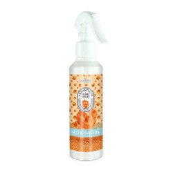 DÉSODORISANT D'AIR EN SPRAY SEL ET CARAMEL 220ML. PRADY