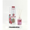 AMBIENTADOR MIKADO FRAMBUESA 100ML.(1.60€ UNIDAD) PACK 12 PRADY