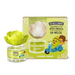 FLOWER FRESHENER MELON AROMA 50ML.(€3.15 UNIT) PACK 8 THE FRUIT COMPANY